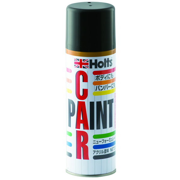 Holts アンチラストペイント300 D-10 ダイハツ X06 MH16510